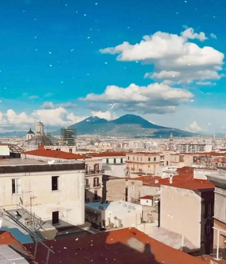 Casa vacanze Villa Hilary'S House - Panoramic Terrace Napoli Italia